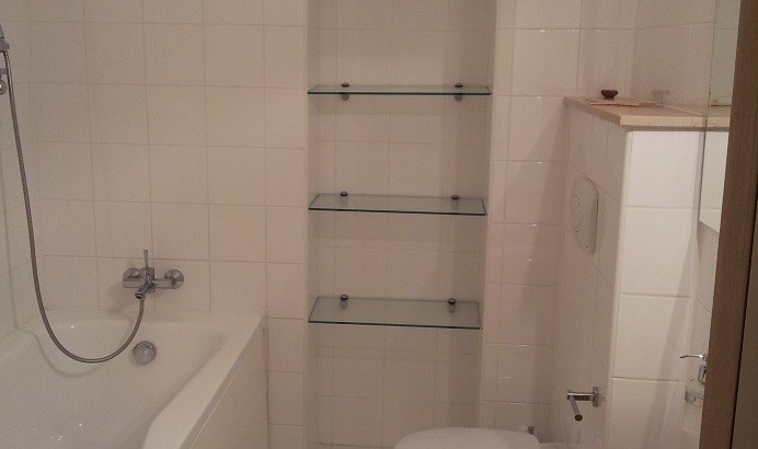 herastrau apartamente de inchiriat (11)